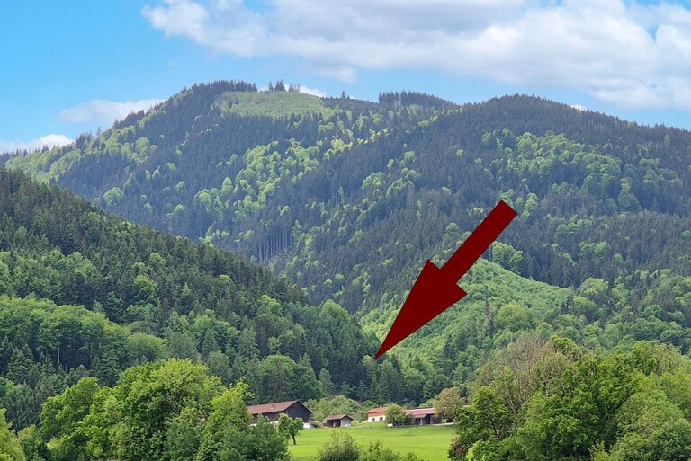 Aussen__14_-Gross.jpg  